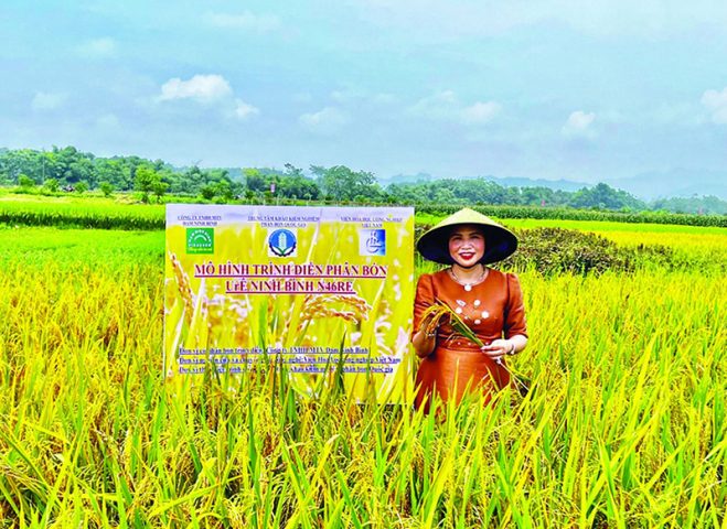 Nữ doanh nhân tận tâm với nông dân